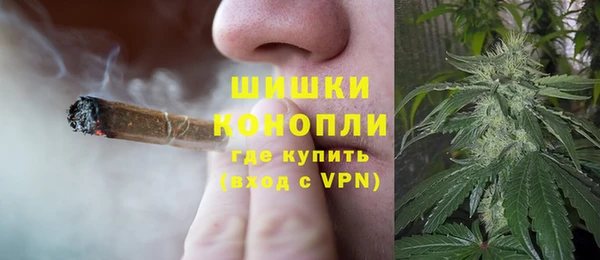 амф Аркадак