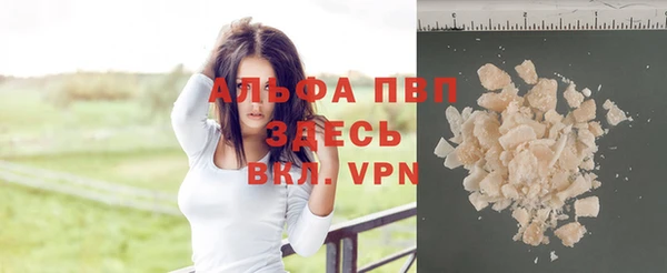 амф Аркадак