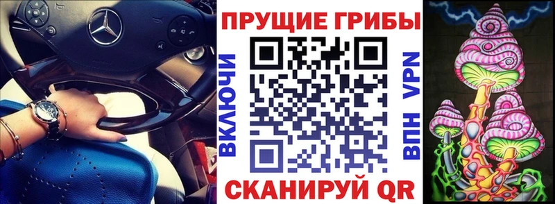 кракен маркетплейс  Камбарка  Псилоцибиновые грибы прущие грибы 